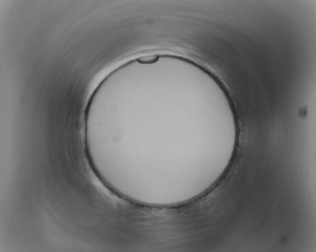 X0000112511516200909071256