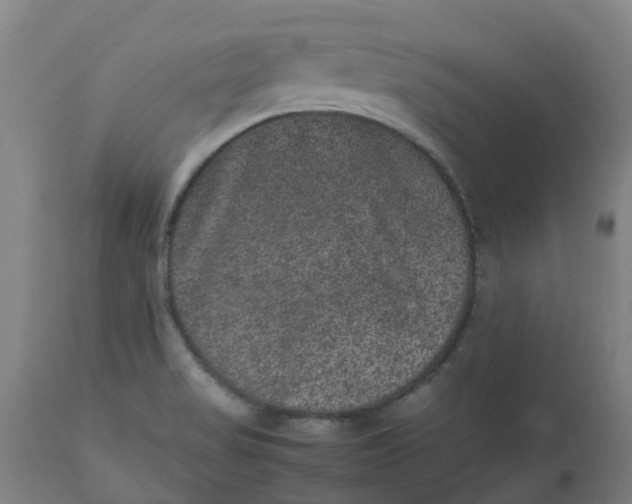 X0000112511517200909071256