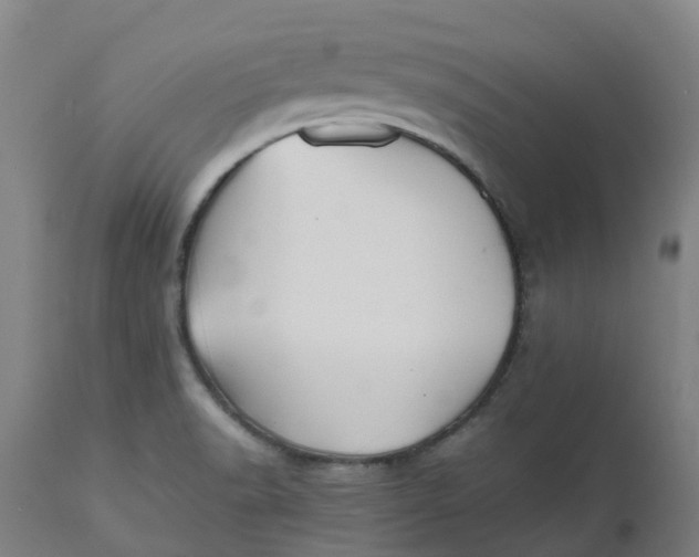 X0000112511518200909071256