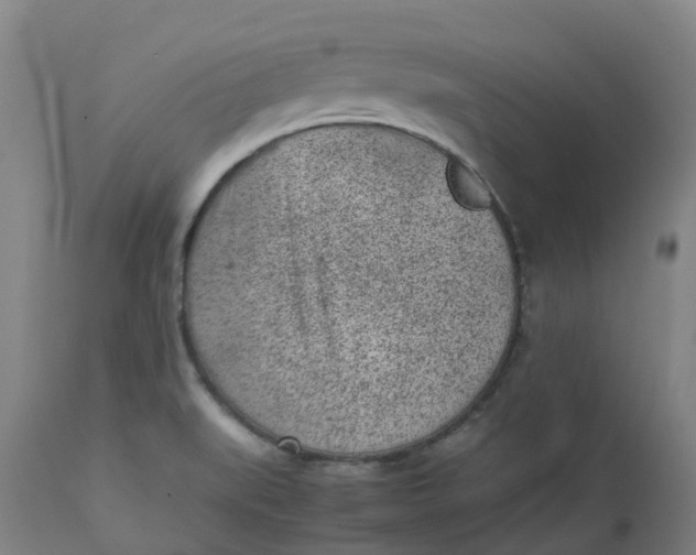 X0000112511519200909071256