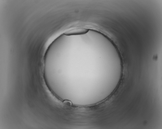 X0000112511520200909071256