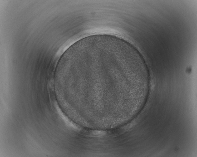 X0000112511521200909071256