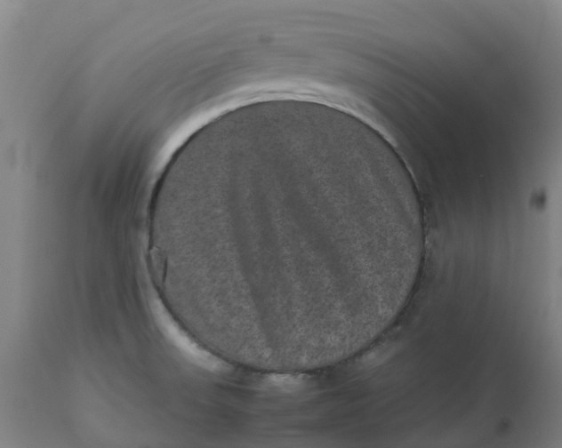 X0000112511523200909071256