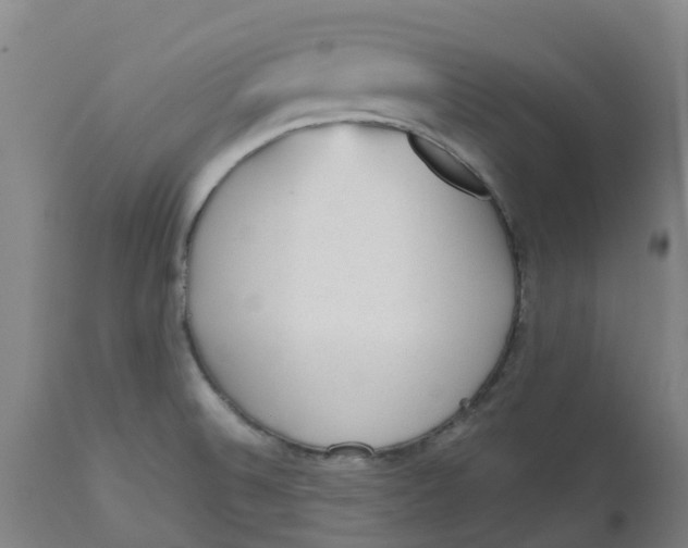 X0000112511524200909071256