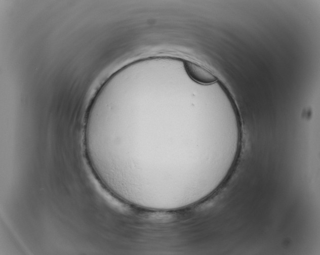 X0000112511525200909071256