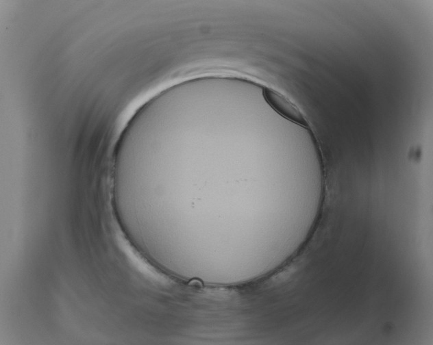 X0000112511526200909071256