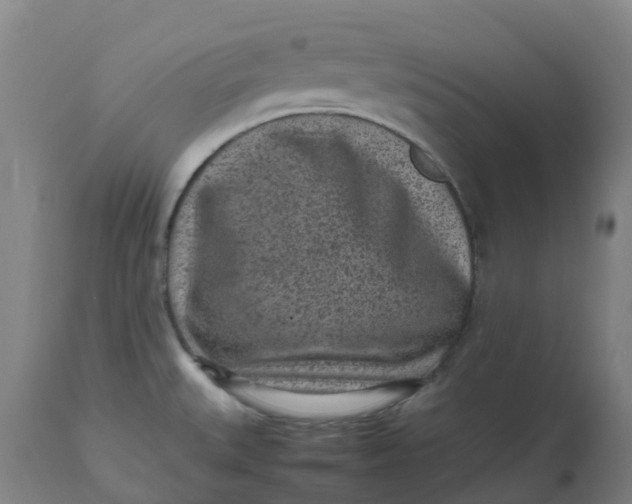 X0000112511527200909071256