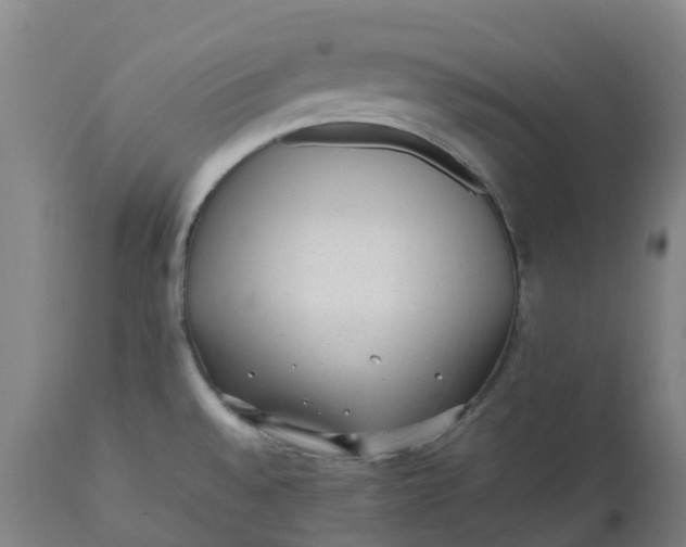 X0000112511528200909071256