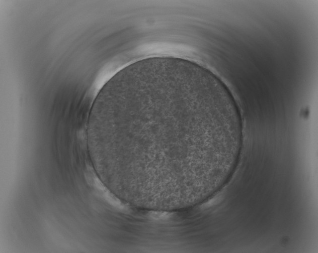 X0000112511529200909071256