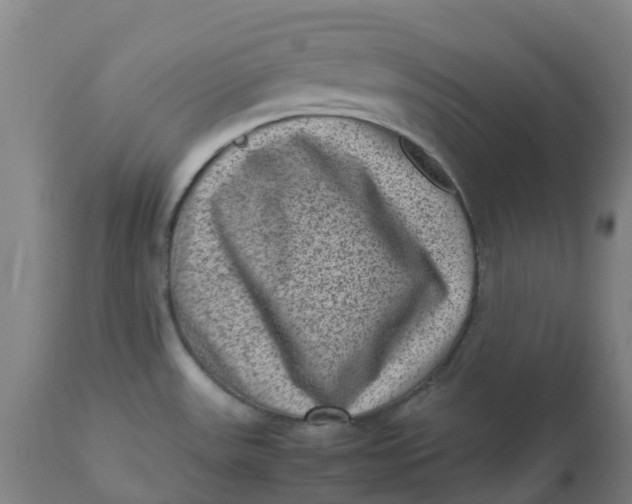 X0000112511531200909071256