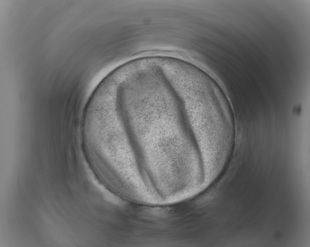 X0000112511533200909071256