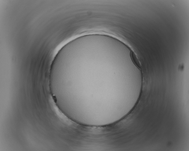 X0000112511534200909071256