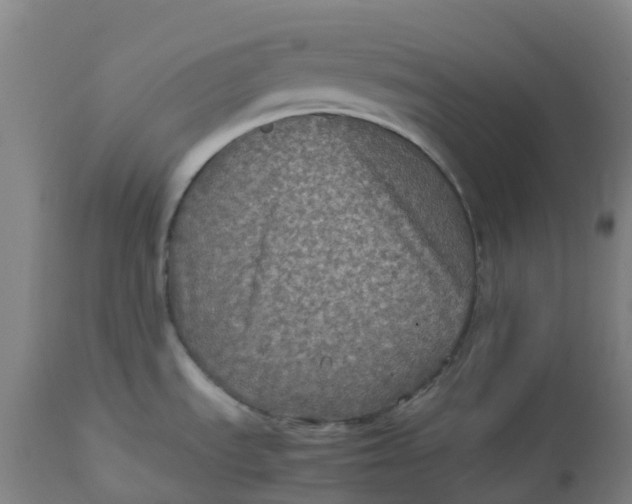 X0000112511535200909071256