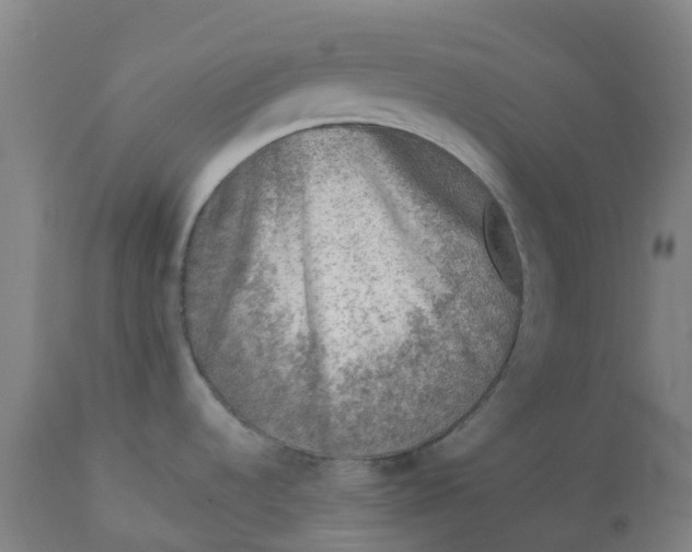 X0000112511536200909071257