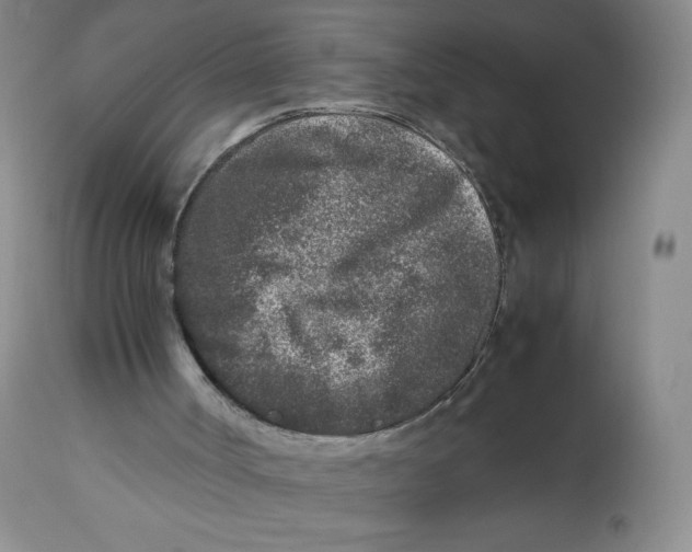 X0000112510002200909141210