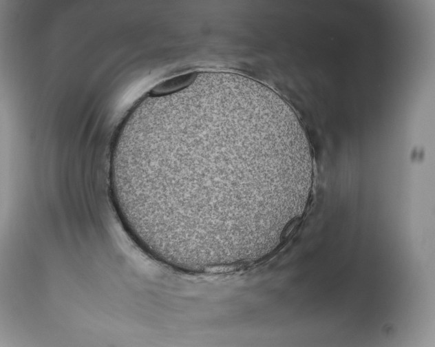 X0000112510005200909141210