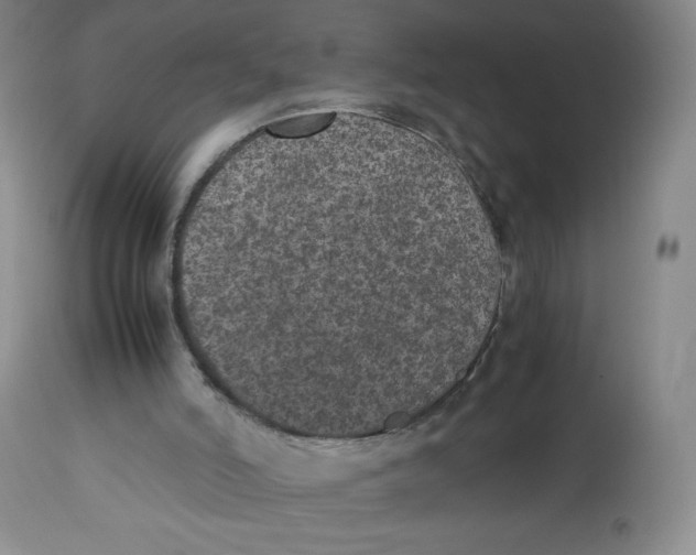 X0000112510006200909141210