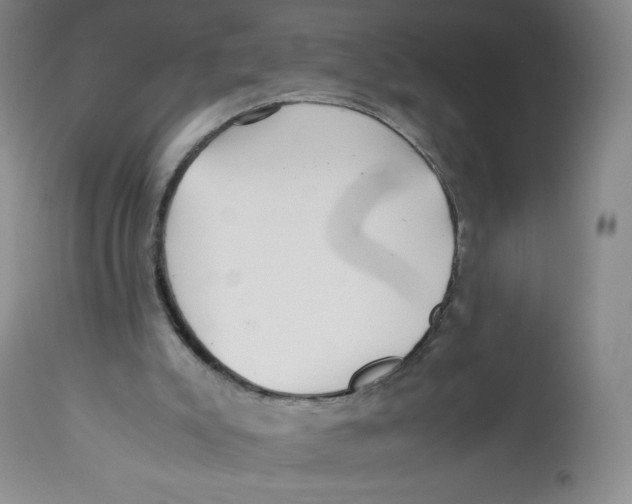 X0000112510007200909141210