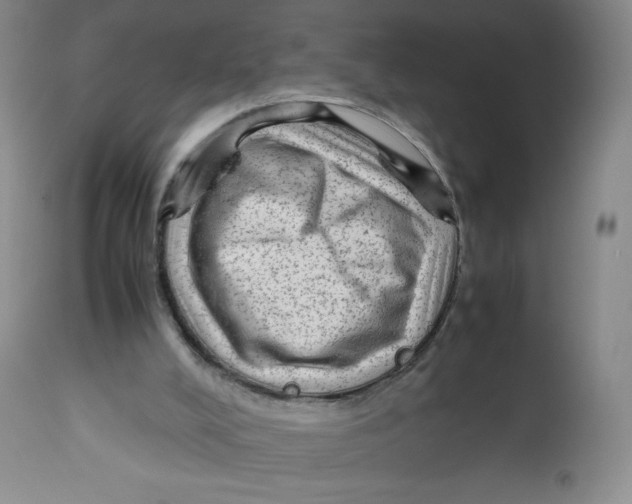 X0000112510008200909141210