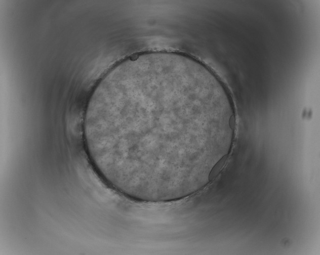 X0000112510009200909141210