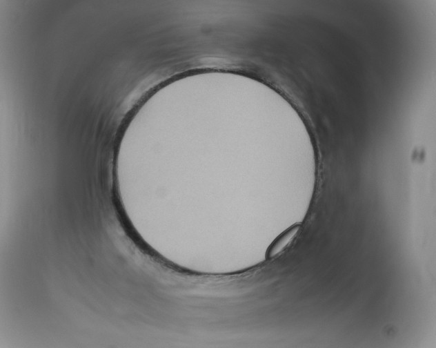 X0000112510011200909141210