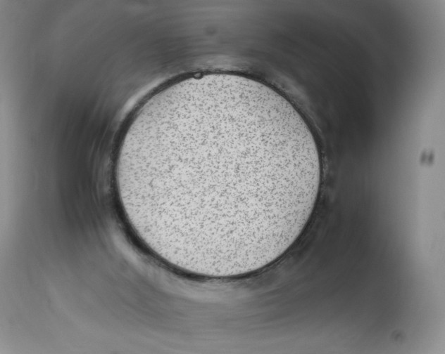 X0000112510012200909141210