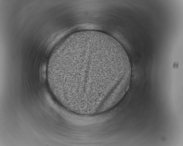 X0000112510014200909141210