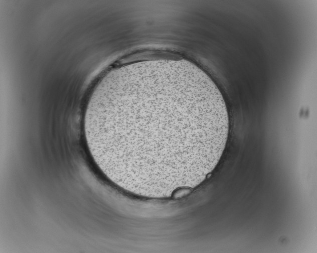 X0000112510016200909141210