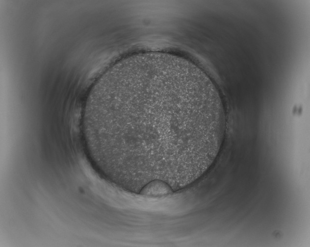 X0000112510018200909141210