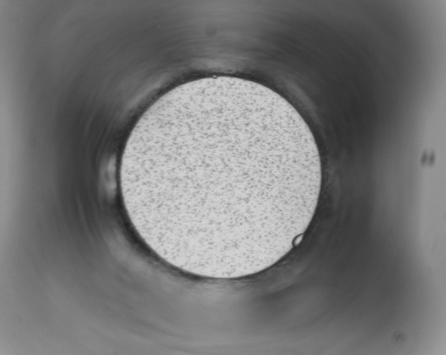 X0000112510020200909141210