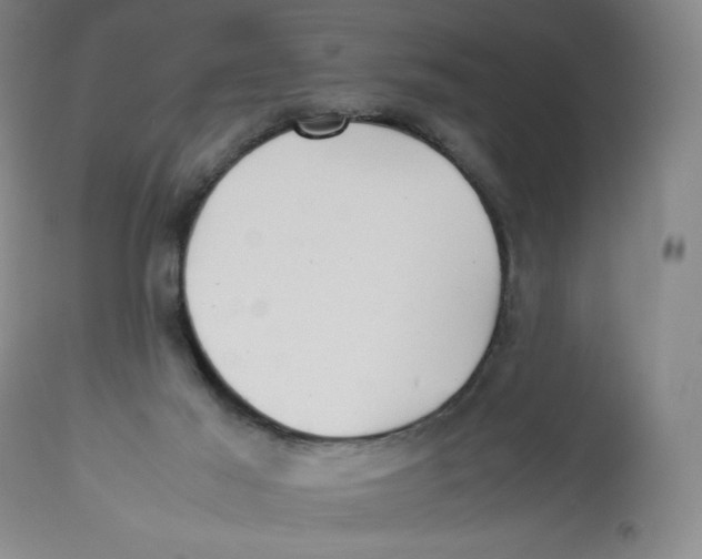 X0000112510021200909141210