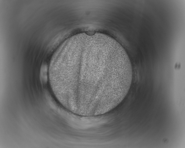 X0000112510022200909141210