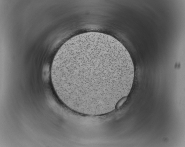 X0000112510024200909141210