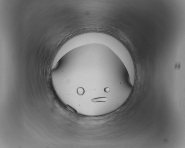 X0000112510025200909141210