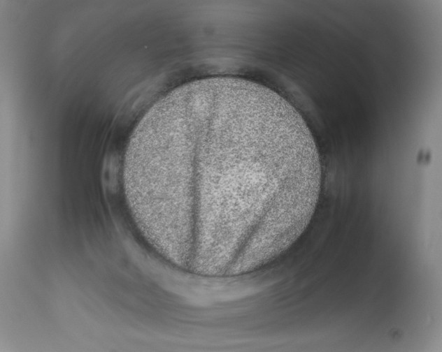 X0000112510026200909141210