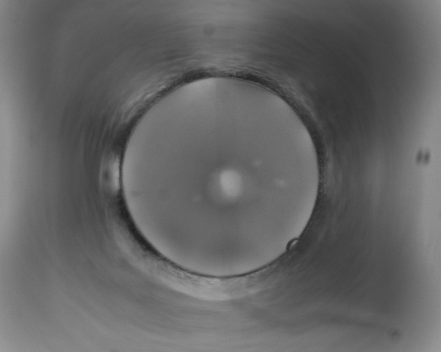 X0000112510027200909141210