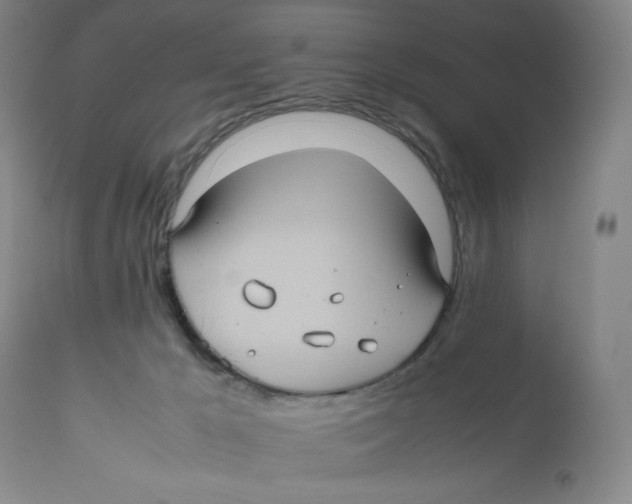 X0000112510029200909141210