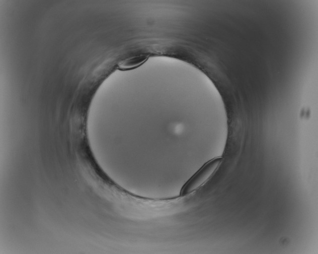 X0000112510031200909141210