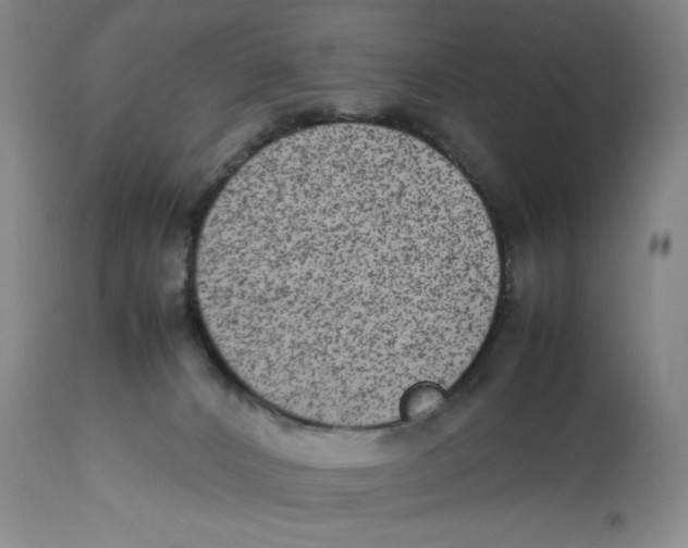 X0000112510032200909141209