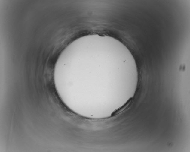 X0000112510033200909141209