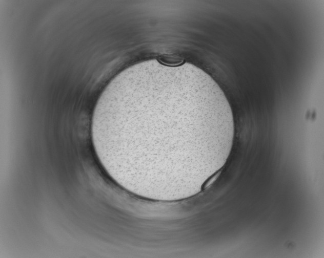 X0000112510036200909141209