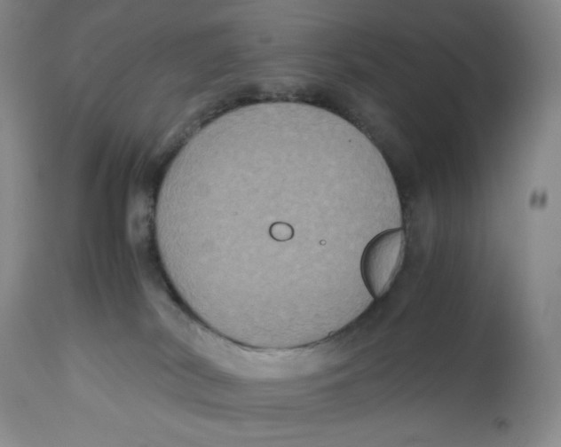 X0000112510038200909141209