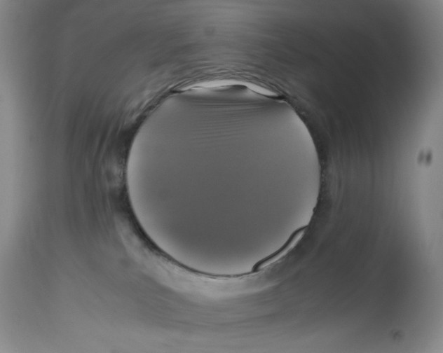 X0000112510039200909141209