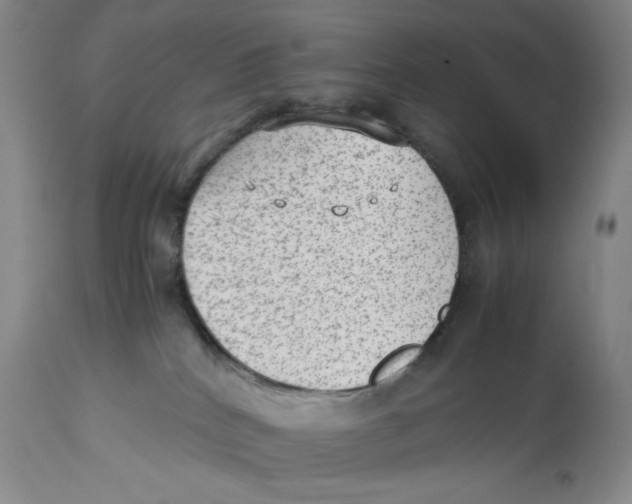 X0000112510040200909141209