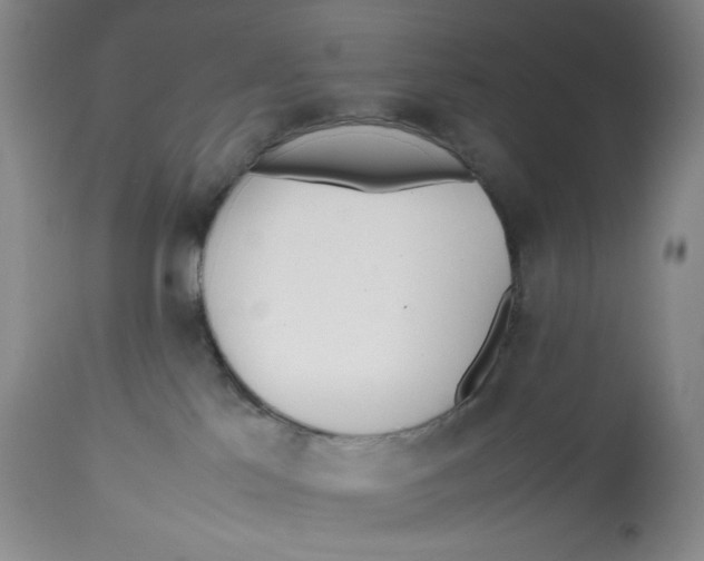 X0000112510041200909141209