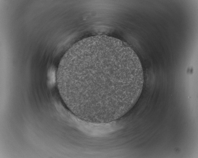 X0000112510042200909141209