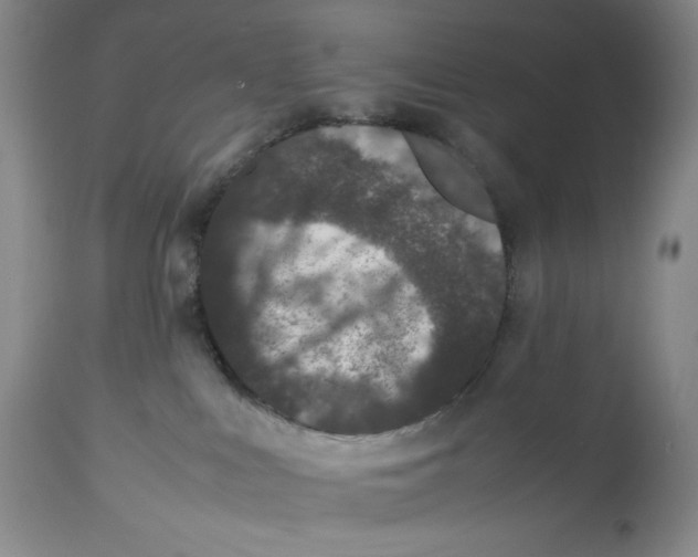 X0000112510043200909141209