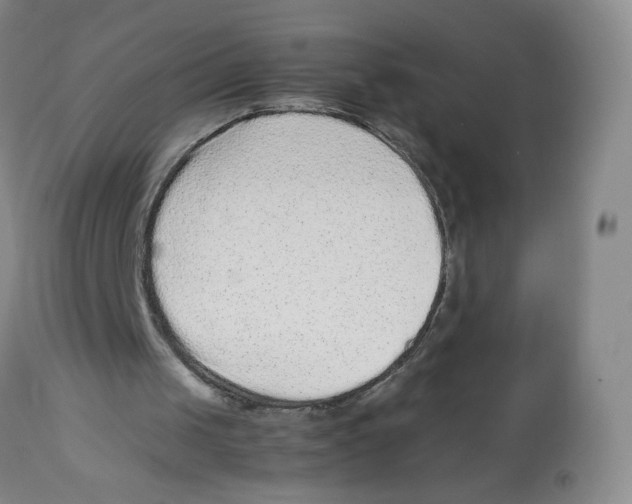 X0000112510049200909141209