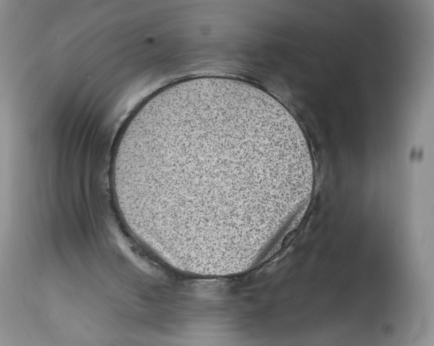 X0000112510050200909141209