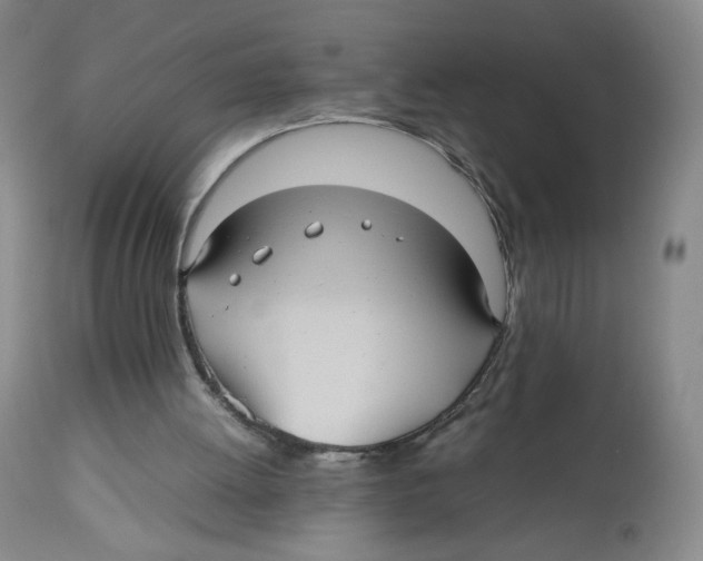 X0000112510052200909141209